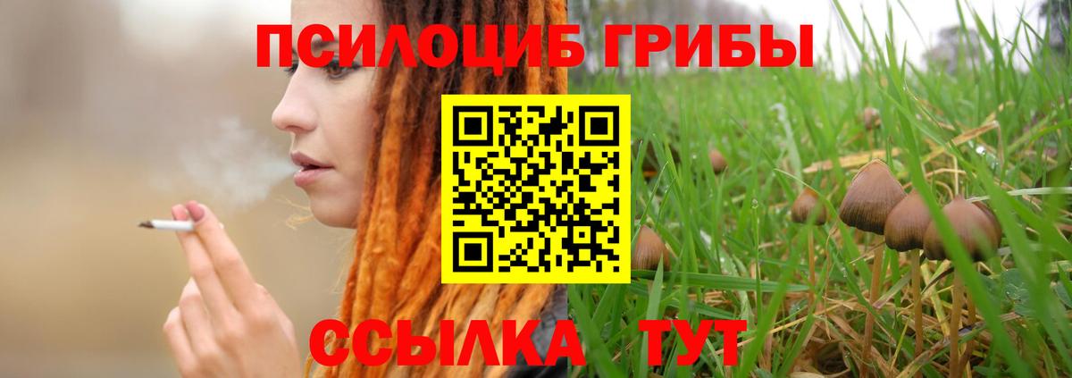 Псилоцибиновые грибы GOLDEN TEACHER  Вход с VPN  Тара 